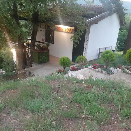 Vila Eva Meduvrsje Esterno foto
