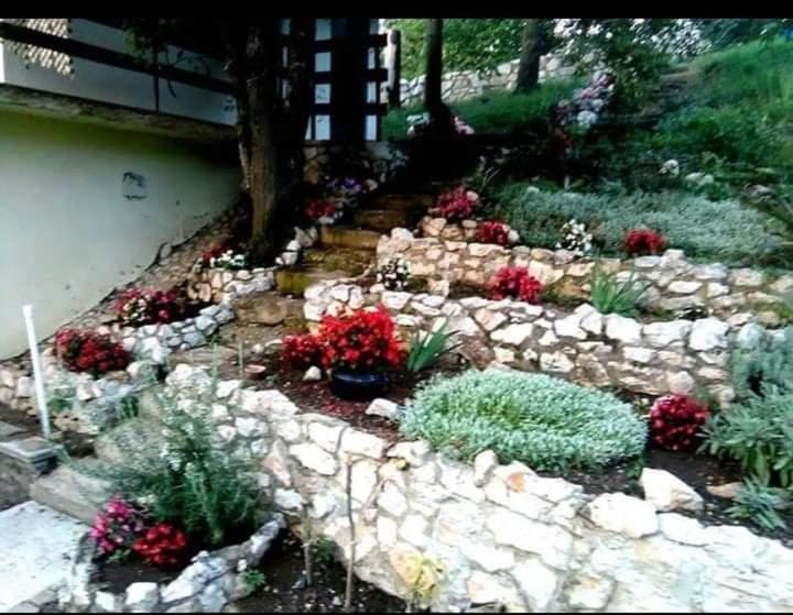 Vila Eva Meduvrsje Esterno foto