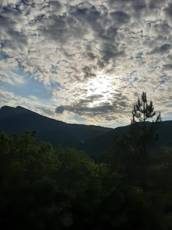 Vila Eva Meduvrsje Esterno foto