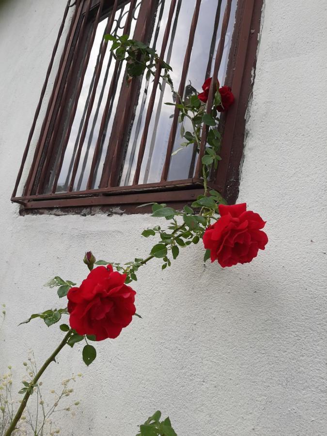 Vila Eva Meduvrsje Esterno foto