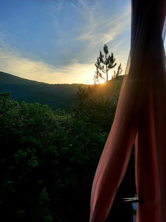Vila Eva Meduvrsje Esterno foto
