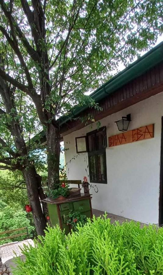 Vila Eva Meduvrsje Esterno foto