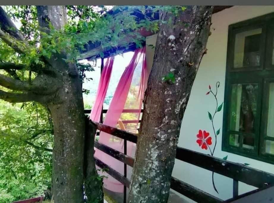 Vila Eva Meduvrsje Esterno foto