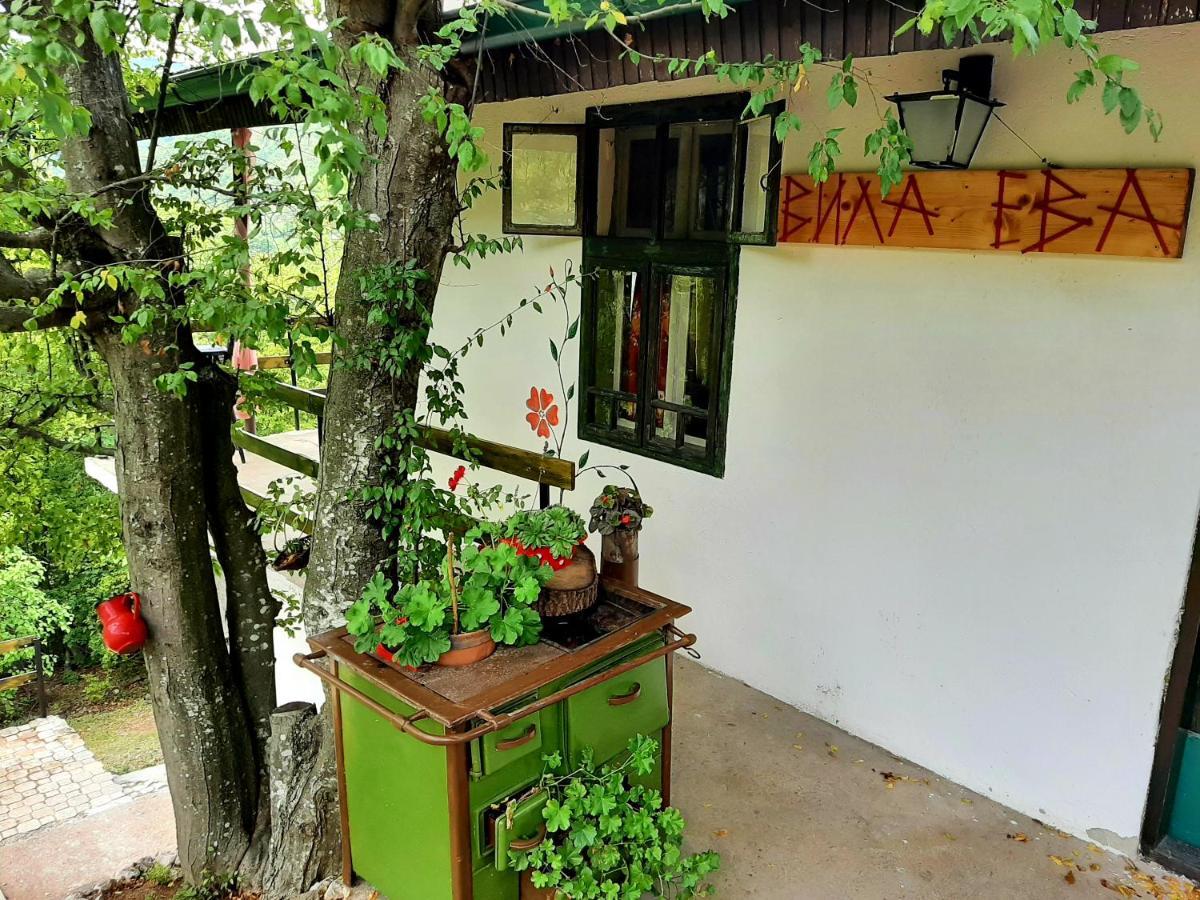Vila Eva Meduvrsje Esterno foto