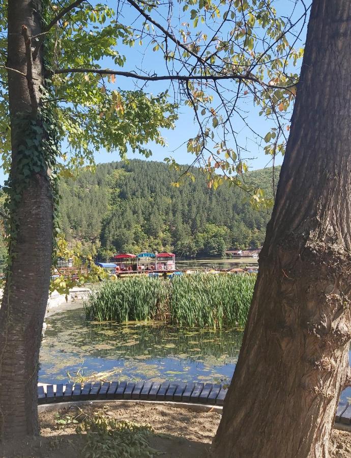 Vila Eva Meduvrsje Esterno foto