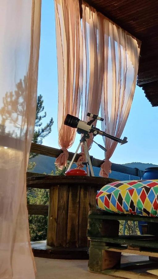 Vila Eva Meduvrsje Esterno foto