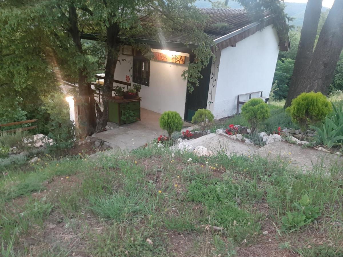 Vila Eva Meduvrsje Esterno foto